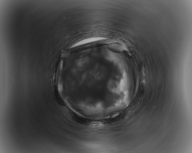 X0000088080519200705251411