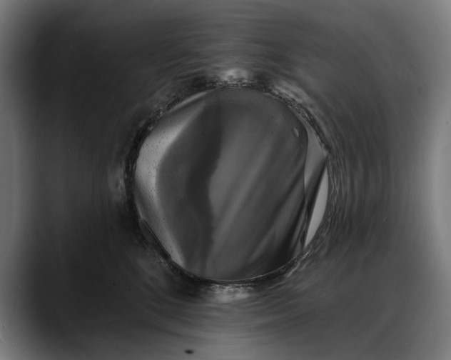 X0000088080520200705251411
