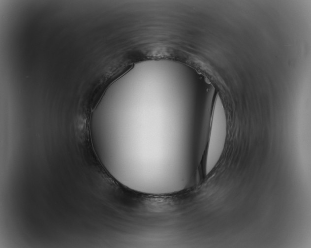 X0000088080521200705251411