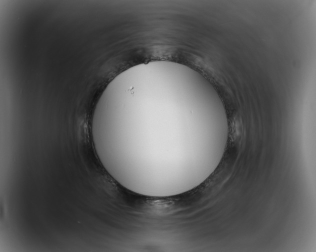 X0000088080522200705251411