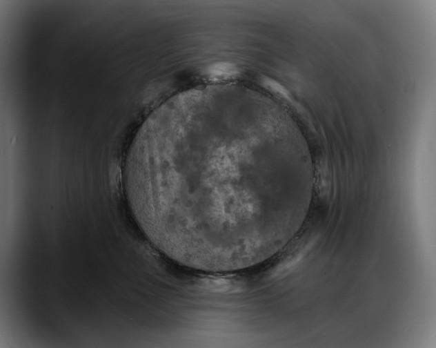 X0000088080523200705251411