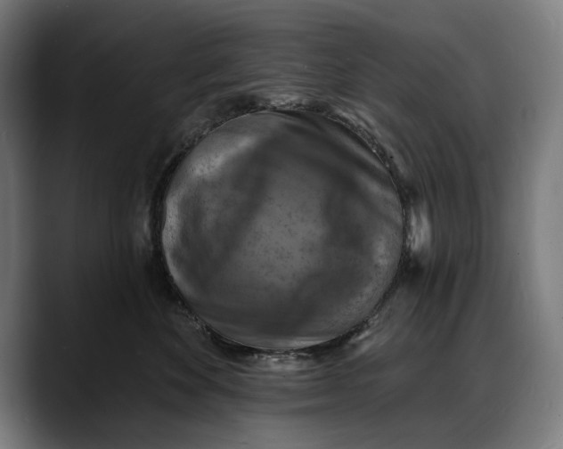 X0000088080524200705251411