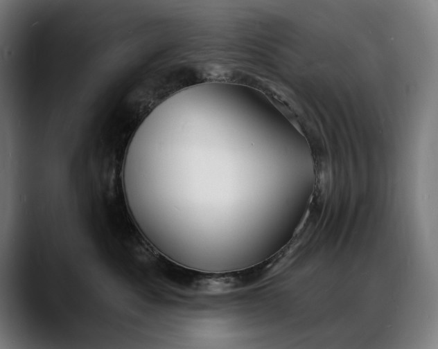 X0000088080525200705251411