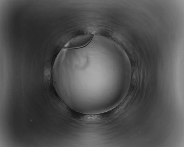 X0000088080526200705251411