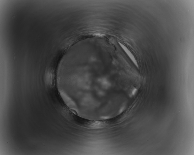 X0000088080527200705251411