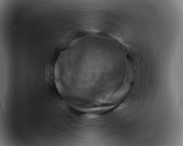 X0000088080528200705251411
