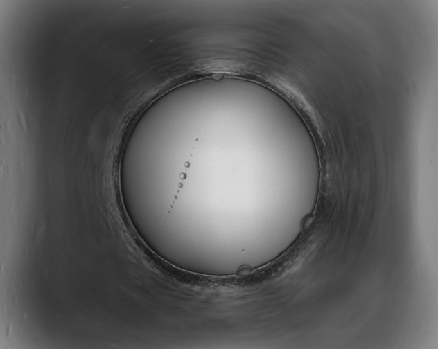 X0000088080529200705251410