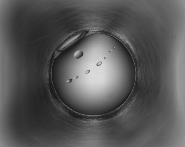 X0000088080533200705251410