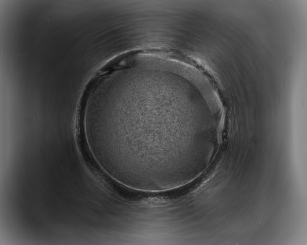 X0000088080536200705251410