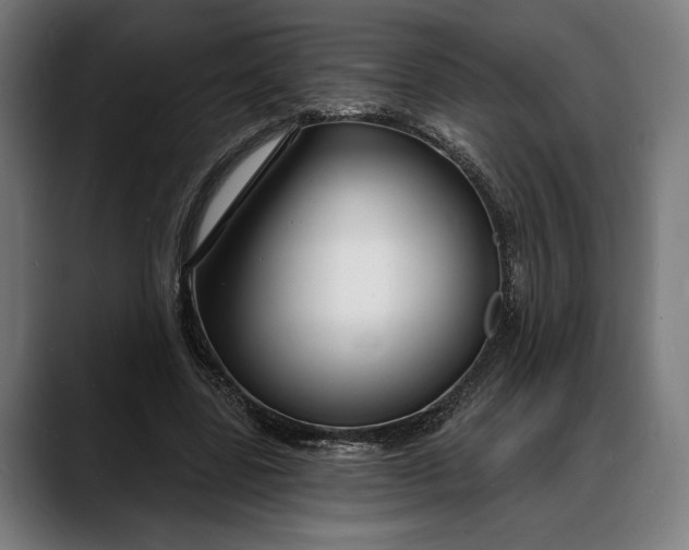 X0000088080539200705251410