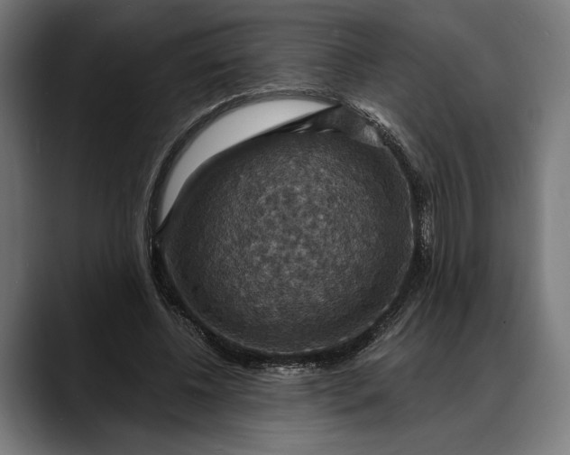 X0000088080540200705251410