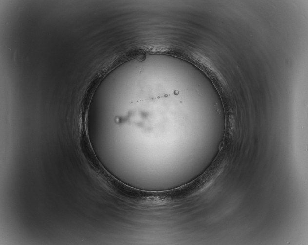 X0000088080541200705251410