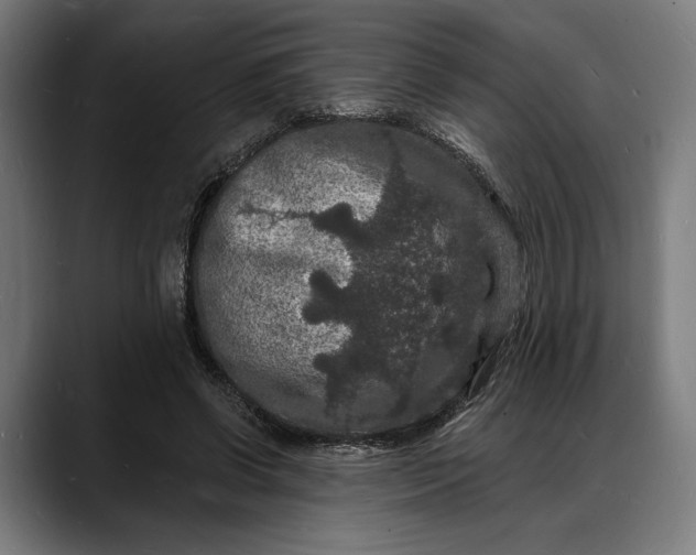 X0000088080542200705251410