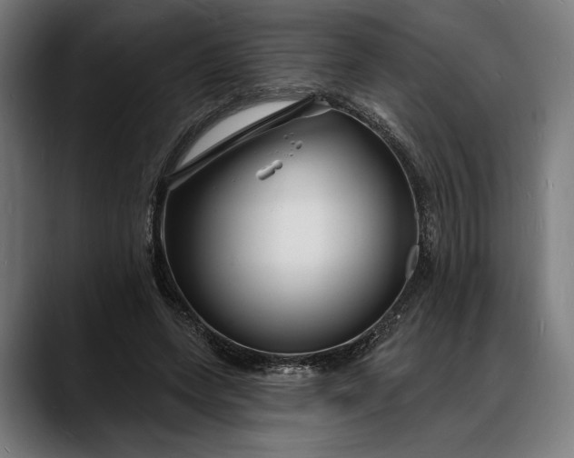 X0000088080543200705251410