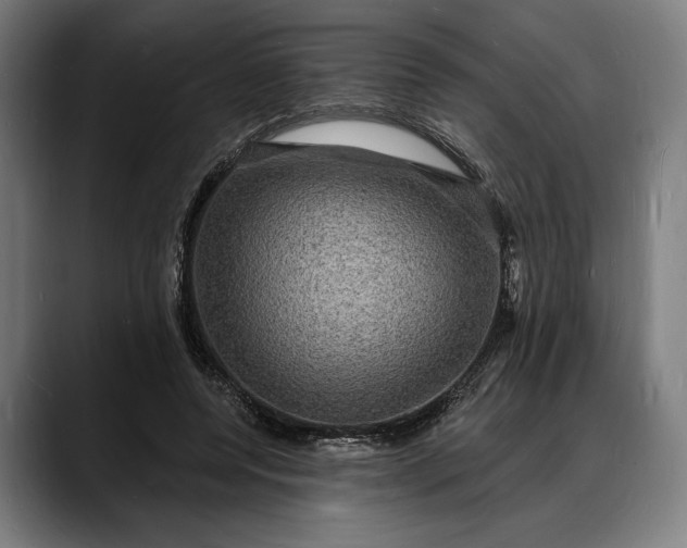 X0000088080544200705251410