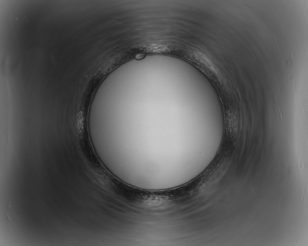 X0000088080549200705251410
