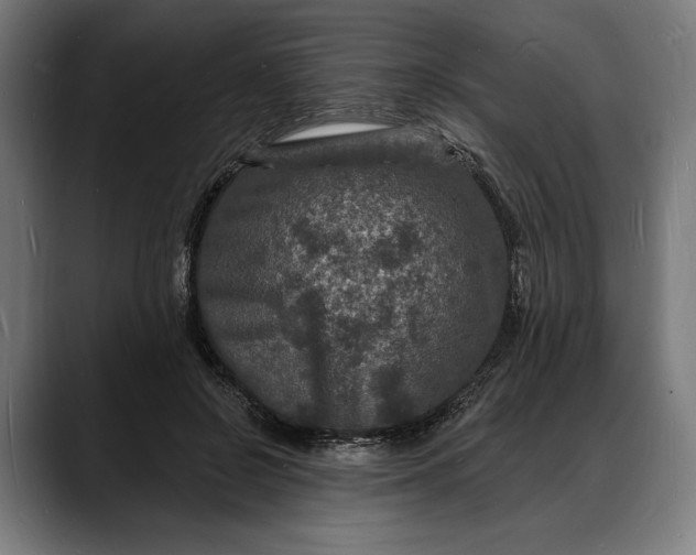 X0000088080550200705251410