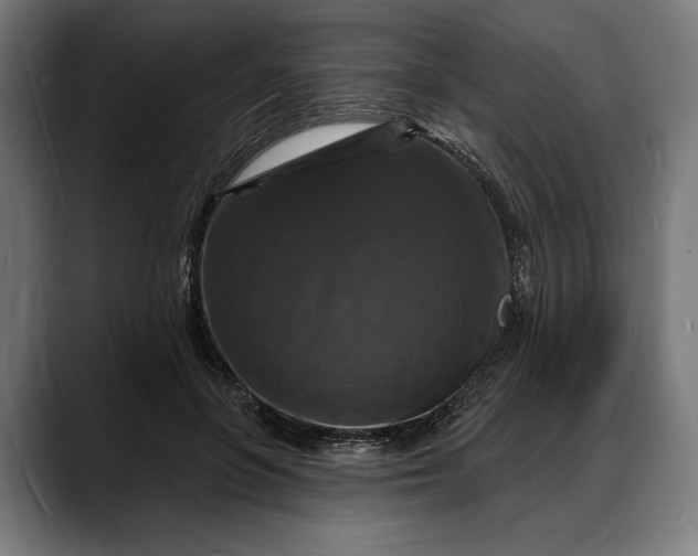 X0000088080551200705251410