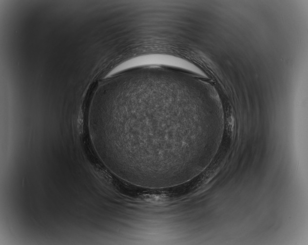 X0000088080552200705251410
