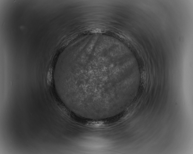 X0000088080554200705251410