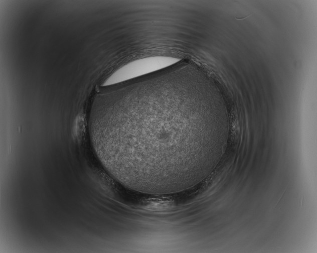 X0000088080555200705251410