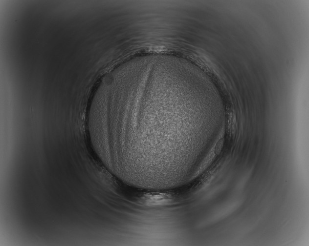 X0000088080557200705251410
