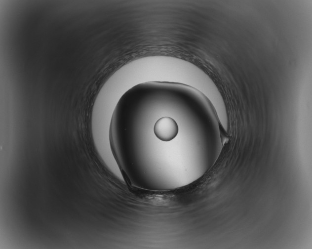 X0000088080558200705251410