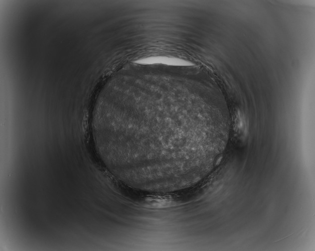 X0000088080559200705251410