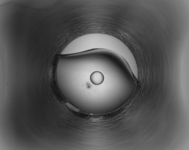 X0000088080560200705251410