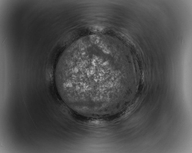 X0000088080561200705251410