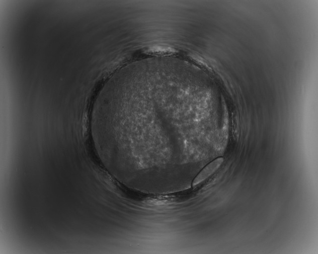 X0000088080563200705251410