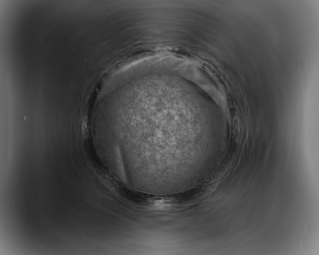 X0000088080564200705251410