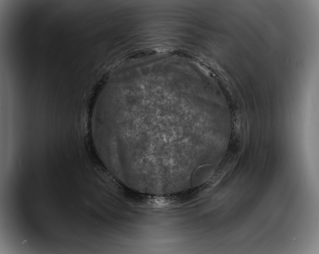 X0000088080565200705251410