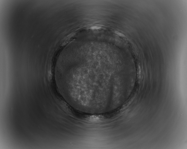 X0000088080566200705251410