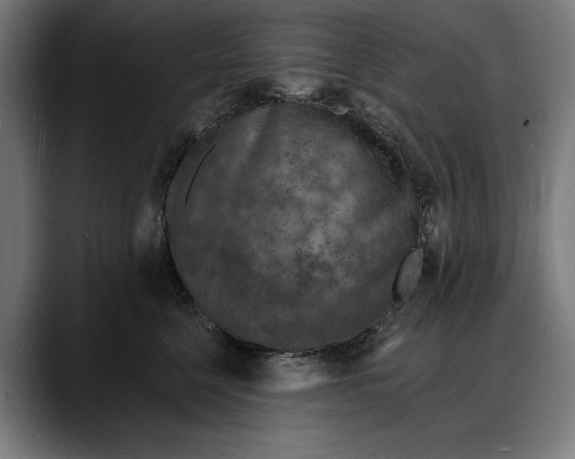 X0000088080568200705251411