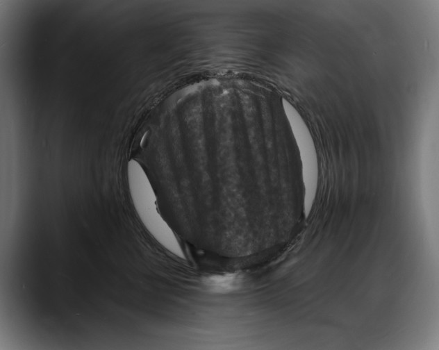 X0000088080570200705251411