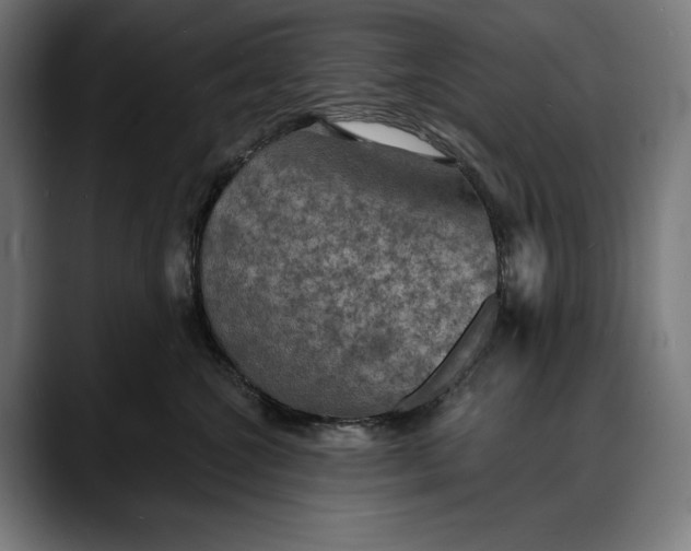 X0000088080572200705251411