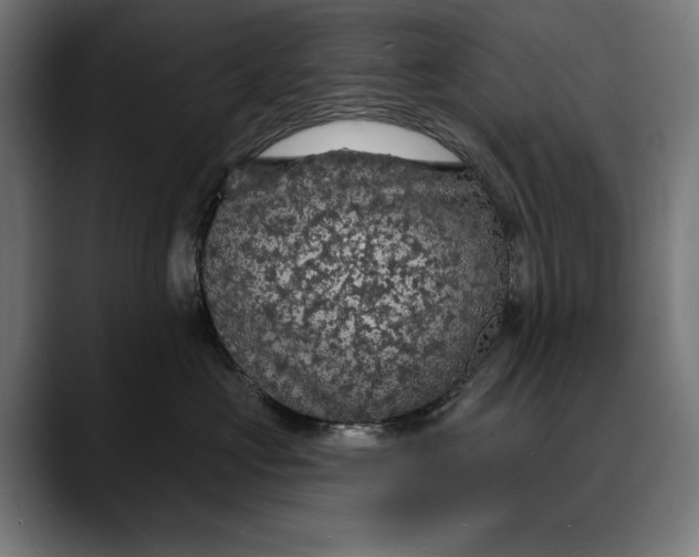 X0000088080573200705251411