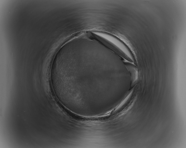 X0000088080577200705251410