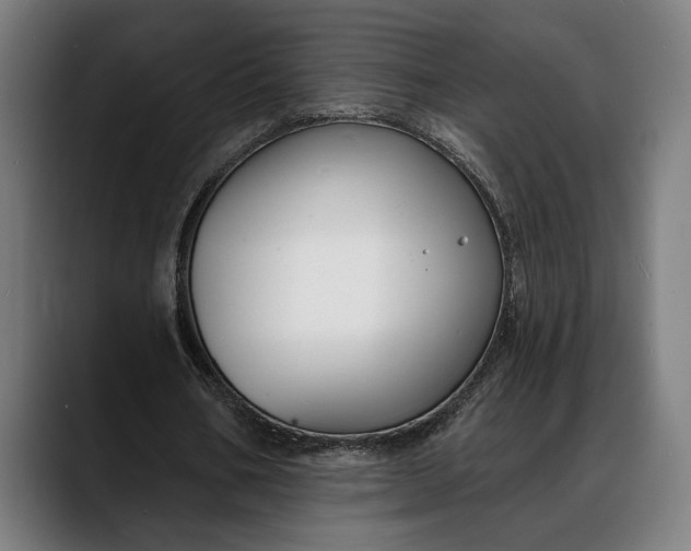 X0000088080578200705251410