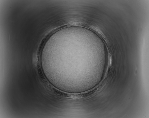 X0000088080579200705251410