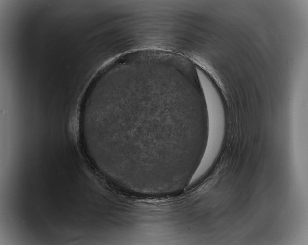 X0000088080580200705251410