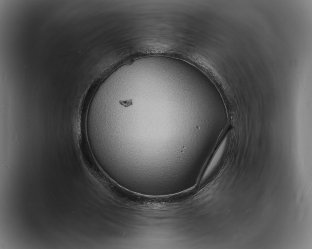 X0000088080582200705251410