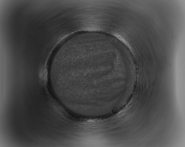 X0000088080584200705251410
