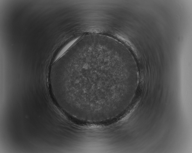 X0000088080585200705251410