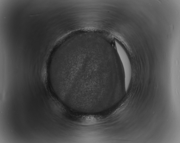 X0000088080588200705251410