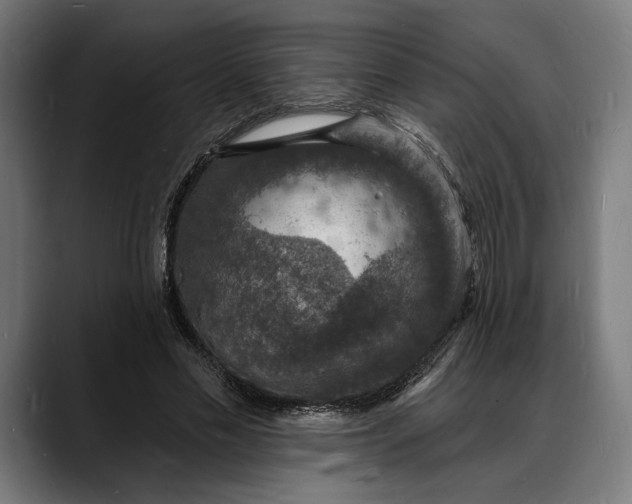 X0000088080589200705251410