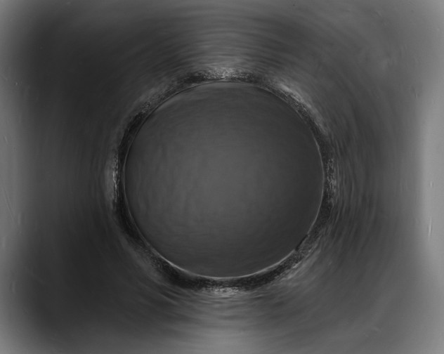 X0000088080590200705251410