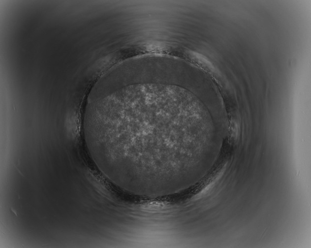 X0000088080593200705251410