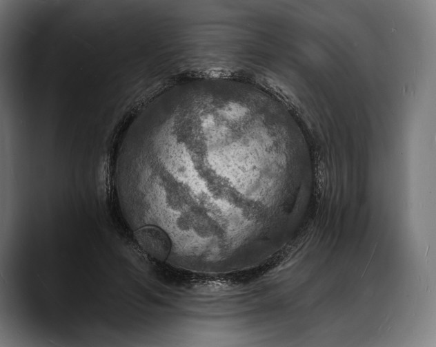 X0000088080594200705251410
